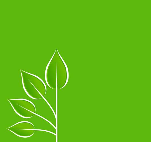 Green plant graphic