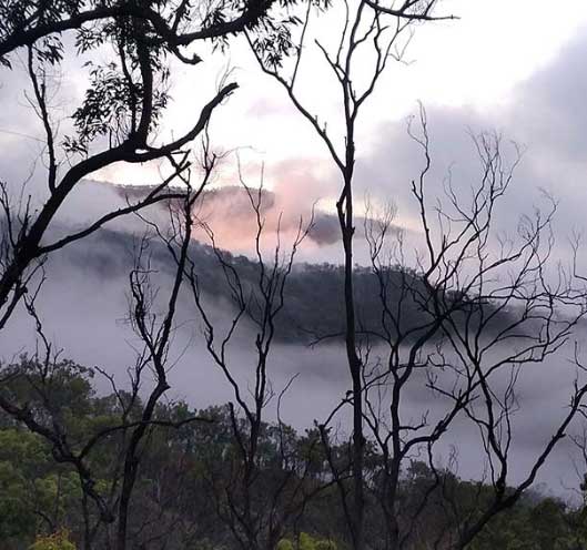 Early morning fog in Queensland - Shingle Hut Creek Farm - Nature Refuge